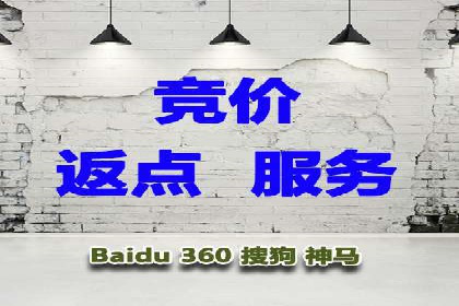 专业SEM托管服务，案例展示精准营销成果